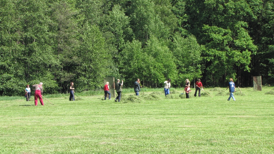 IMG_1207.JPG