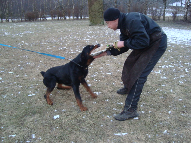 cvicak 24.2.2011 007